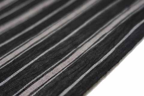 両子持ち縞の拡大図