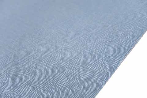 絽江戸小紋の拡大図