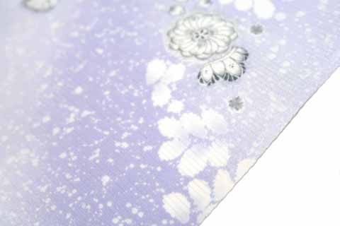 絽小紋の拡大図