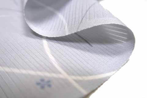 絽小紋の生地の拡大図