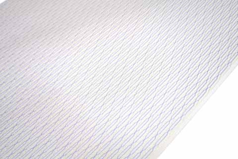 羅着尺の拡大図