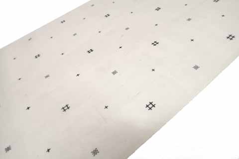 夏芭蕉の拡大図